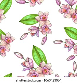 Vector vintage seamless pattern with blooming pink orchids on white. Hand drawn color botanical texture with tropical flowers. Floral design.