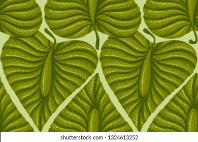 Vector vintage seamless pattern with exotic plants. Pattern with vintage exotic tropical leaves.