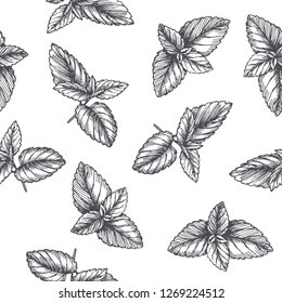 Vector vintage seamless pattern with mint leaves in engraving style. Hand drawn botanical texture with peppermint tips isolated on white. Black and white sketch. Herbal ingredient