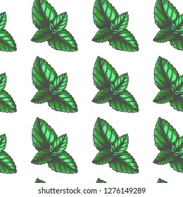 Vector vintage seamless pattern with mint leaves in engraving style. Hand drawn color botanical texture with green peppermint tips isolated on white. Herbal ingredient