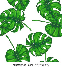 Vector vintage seamless pattern with monstera leaves. Hand drawn color botanical texture. Natural elements in engraving style for tropical design