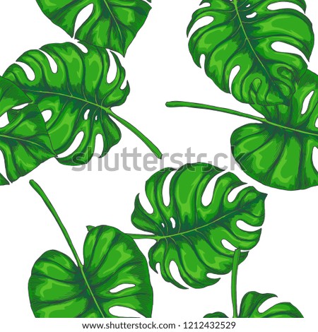 Vector vintage seamless pattern with monstera leaves. Hand drawn color botanical texture. Natural elements in engraving style for tropical design