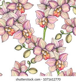 Vector vintage seamless pattern with orchid branches isolated on white background. Hand drawn color botanical texture with pink tropical flowers. Floral design