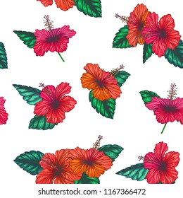 Vector vintage seamless pattern with red tropical flowers isolated on white. Hibiscus with leaves in engraving style. Hand drawn color floral texture.