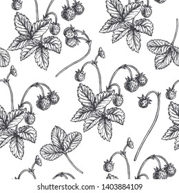 Vector vintage seamless pattern with wild strawberry in engraving style. Hand drawn botanical texture with berries. Black and white floral sketch illustration.