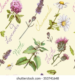 Vector vintage seamless pattern with wild flowers and herbs. Background design for cosmetics, store, beauty salon, natural and organic products.