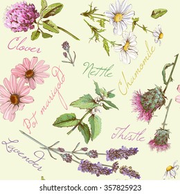 Vector vintage seamless pattern with wild flowers and herbs. Background design for cosmetics, store, beauty salon, natural and organic products.