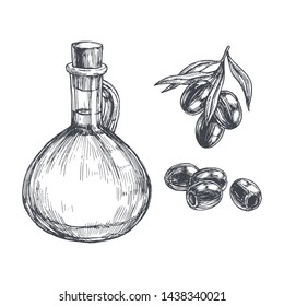 Vector vintage set of black olives and bottle with oil isolated on white. Hand drawn illustration of fruits, branch and pitcher in engraving style.