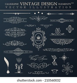 Vector vintage set. Calligraphic elements and page decoration premium quality collection design