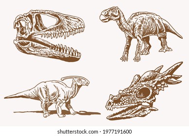 Vector vintage set of dinosaurs and skulls ,paleontological collection