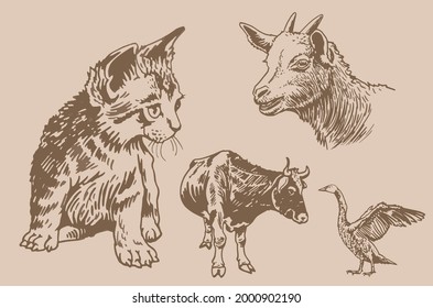 Vector vintage set of domestic animals on sepia background,farm animals