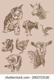 Vector vintage set of domestic animals ,farm animals