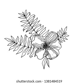 Vector vintage set of flowers and leaves isolated on white. Hand drawn botanical illustration. Trace of freehand drawing. Sketches of natural element for floral design. Coloring book page for adult.