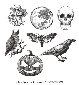 Vektorillustration Vintage Set von Halloween-Symbolen im Stilstil. Handgezeichnete Illustration mit Schädel, Kürbis, Vollmond, Rabe, Totenkopfmotte und Eule einzeln auf Weiß.