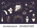 Vector vintage set illustration magic items, for Halloween. Raven skull in crown, Pumpkin, mushrooms, witch potions, feather, witchcraft, astrology, mystic. For stickers, posters, design elements.