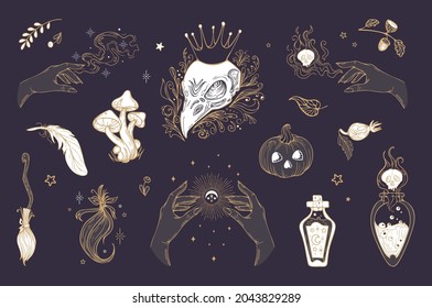 Vector vintage set illustration magic items, for Halloween. Raven skull in crown, Pumpkin, mushrooms, witch potions, feather, witchcraft, astrology, mystic. For stickers, posters, design elements.