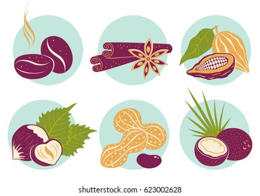 Vector vintage set nuts icons. Coffee beans, coconut, star anise, cinnamon, cocoa and peanuts.