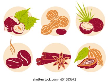 Vector vintage set nuts icons on beige background. Coffee beans, coconut, star anise, cinnamon, cocoa and peanuts.