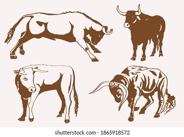 Vector vintage set of oxen , sepia illustration, symbol of new year 2021