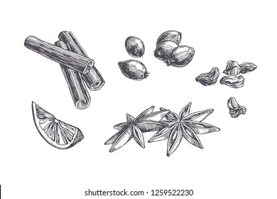 Vector vintage set of spices and sweets isolated on white. Hand drawn illustration of cinnamon, cardamom and berries in engraving style.