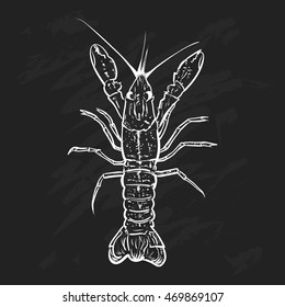 Vector vintage shrimp drawing on a black background. Hand drawn monochrome seafood illustration. Great for menu, poster or label.