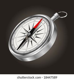 vector vintage silver compass