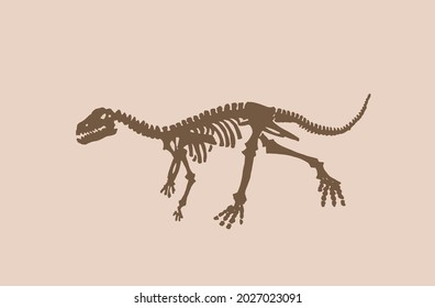 Vector vintage skeleton of raptor , graphical illustration,paleontological element 