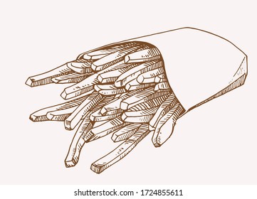 Vector vintage sketch of french fries,graphical sepia  illustration,fast food
