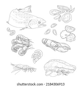 Vector vintage sketch seafood, hand drawn seafood delicacy, restaurant and marine cuisine cafe menu, packaging design.