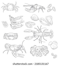 Vector vintage sketch seafood, hand drawn seafood delicacy, restaurant and marine cuisine cafe menu, packaging design.