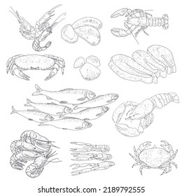 Vector vintage sketch seafood, hand drawn seafood delicacy, restaurant and marine cuisine cafe menu, packaging design.