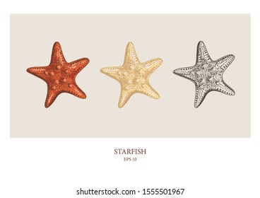 Vector vintage starfish. Excellent for the design of postcards, posters, stickers and so on.