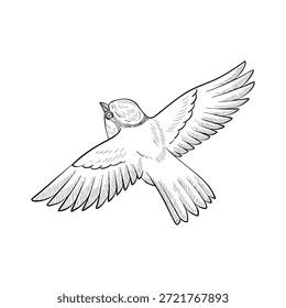 Vector estilo vintage dibujo de aves voladoras, ilustración dibujada a mano, elemento de diseño de naturaleza aislado