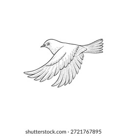 vector vintage style drawing flying bird , hand drawn illustration, isolated nature design element