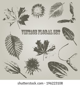 Vector Vintage Style Floral Elements, rosewood std font, fully editable eps 10 file