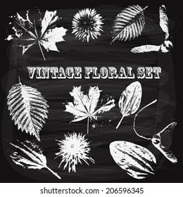 Vector Vintage Style Floral Elements drawn by chalk on the blackboard, rosewood std font, fully editable eps 10 file with transparency effects