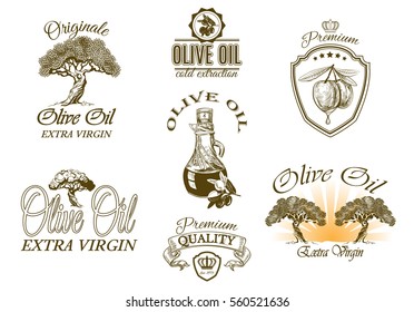 Vector vintage style olive oil decorative elements and symbols set. Graphic design for virgin olive oil packaging isolated on white background. Can be used as logo