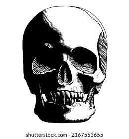 Vector Vintage Style Skull Isolated