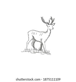 vector vintage styled engraved hand drawn deer animal hunting season