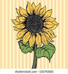 Vector vintage sunflower