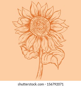 Vector vintage sunflower
