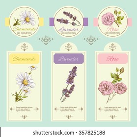 Vector vintage template banner with wild flowers and medicinal herbs. Design for cosmetics, store, beauty salon, natural and organic, health care products. 