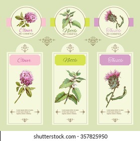 Vector vintage template banner with wild flowers and medicinalherbs. Design for cosmetics, store, beauty salon, natural , organic health care products. 