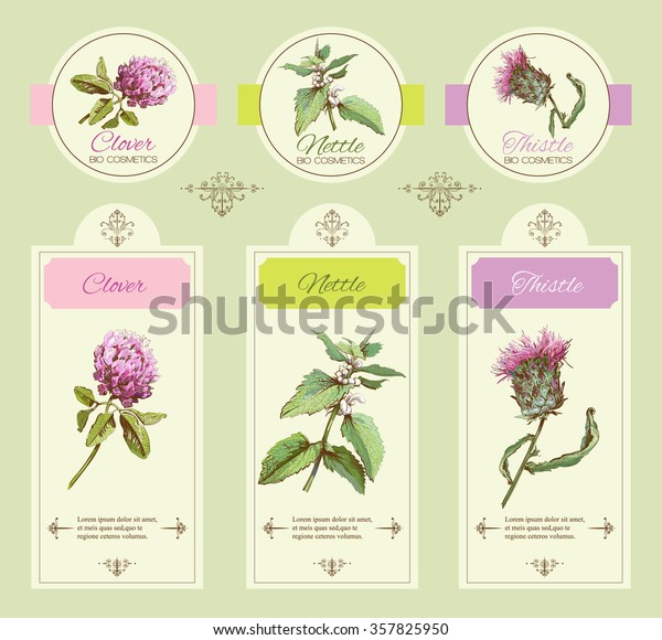 Vector Vintage Template Banner Wild Flowers Stock Vector Royalty