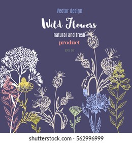 Vector vintage template with hand draw flowers and herbs. Layout design for cosmetics shop, beauty salon