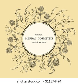 Vector vintage  template with hand-draw wild flowers and herbs. Layout, mockup design for cosmetics, store, label, beauty salon, natural and organic products. With place for text