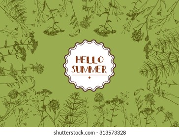 Vector vintage  template with hand-draw wild flowers and herbs. Layout, mockup design for cosmetics, store, label, beauty salon, natural and organic products. With place for text