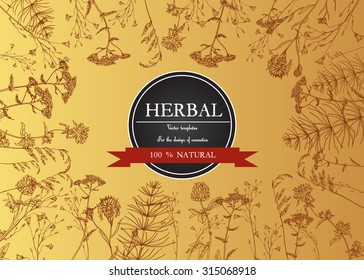Vector vintage  template with hand-draw wild flowers and herbs. Layout, mockup design for cosmetics, store, label, beauty salon, natural and organic products. With place for text