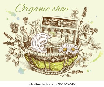 Vector vintage template illustration of hand-drawn basket with wild flowers, herbs and natural products. Design for cosmetics, store, beauty salon, natural and organic products. 