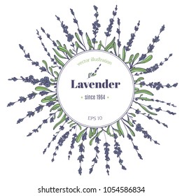 Vector vintage template label with hand draw lavender and herbs. Layout, mockup design for honey, cosmetics shop, beauty salon, natural and organic products. Organic plants sketch background.